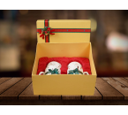 2025 HAMPERS NATAL TOOTH FAIRY PINK